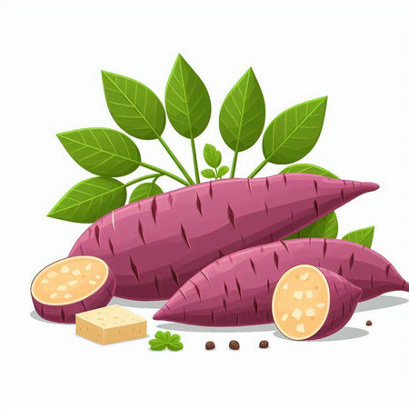 Sweet potato vector illustration isolated on white background. Sweet potato with leaves.のイラスト素材