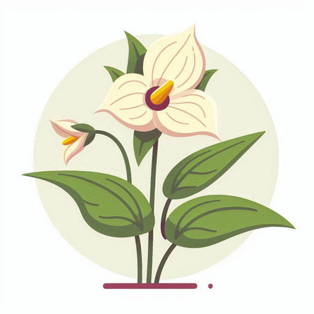 Illustration of an exotic flower on a white background. Vector illustrationのイラスト素材