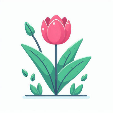 Tulip flower in the garden. Vector illustration in flat style.のイラスト素材