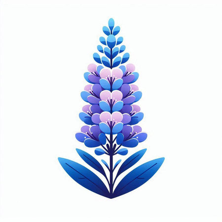 Verbena or Achillea millefolium plant vector illustrationのイラスト素材