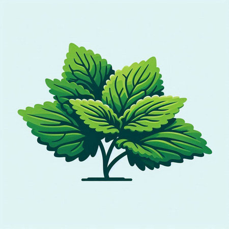 Illustration of a green mint plant on a light blue background.のイラスト素材