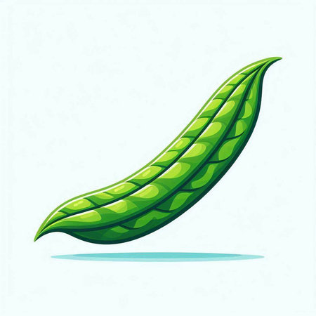 Green bean isolated on white background. Vector illustration. Eps 10.のイラスト素材