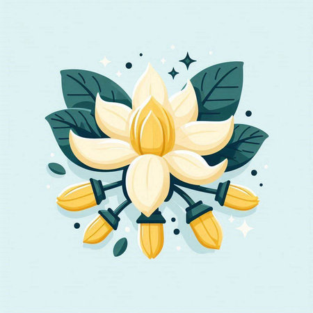 Coffee tree branch with flowers and leaves. Vector illustration.のイラスト素材