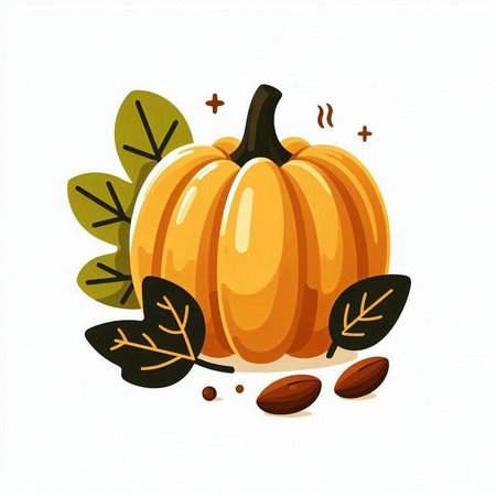 Pumpkin with leaves and seeds on a white background. Vector illustration.のイラスト素材