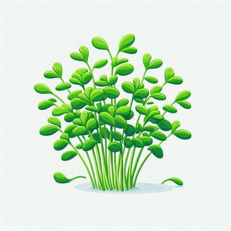 Microgreens growing on a white background. Vector illustration of greens.のイラスト素材