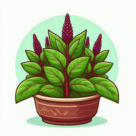 Illustration of a decorative plant in a pot on a white backgroundのイラスト素材