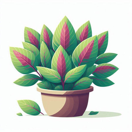 Houseplant in a pot on a white background. Vector illustration.のイラスト素材