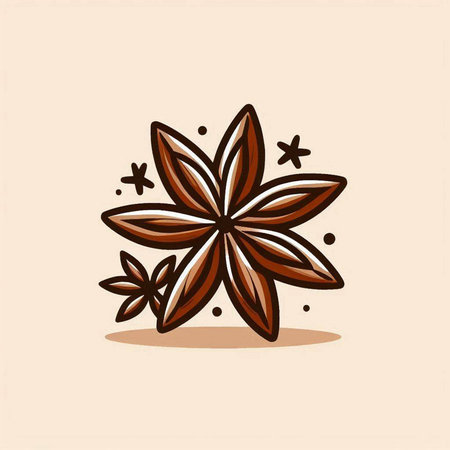 Illustration of star anise. Vector illustration of anise.のイラスト素材