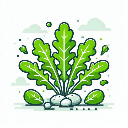 Vegetable illustration. Vector illustration of fresh green lettuce leaves.のイラスト素材