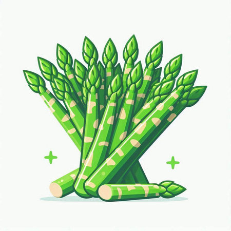 Green asparagus isolated on white background. Vector cartoon illustration.のイラスト素材