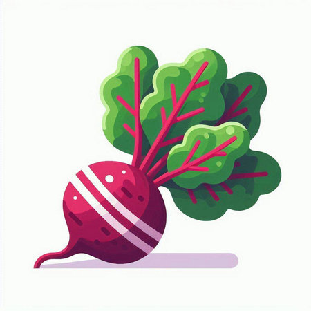 Beetroot icon isolated on white background. Vector flat illustration.のイラスト素材