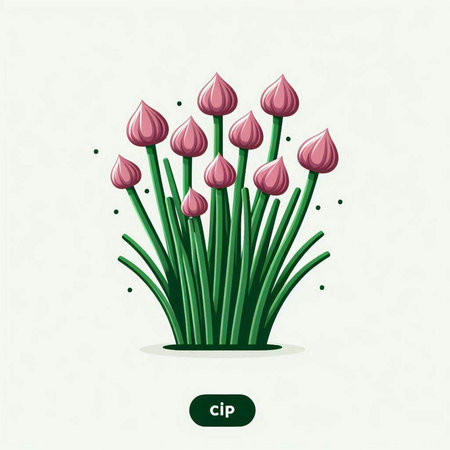 Vector illustration of blooming chives in a pot with water drops.のイラスト素材