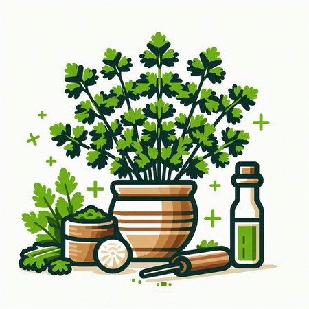 Parsley, parsley in a bowl, spices and oil. Vector illustration.のイラスト素材