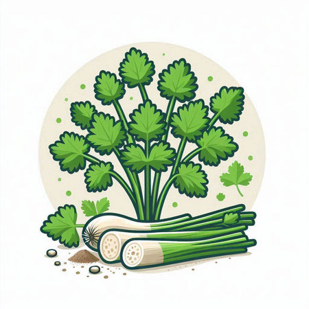 Celery, parsley, dill, parsley. Vector illustration.のイラスト素材