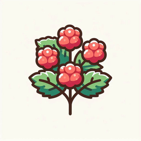 Hand drawn raspberry icon. Vector illustration in doodle style.のイラスト素材