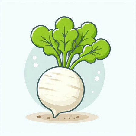Illustration of a radish on a light background, vector illustrationのイラスト素材