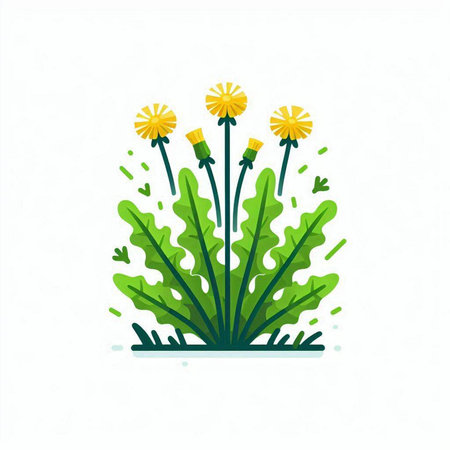 Dandelion flower vector illustration isolated on white background. Flat style.のイラスト素材