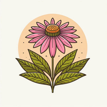 Echinacea flower with green leaves. Hand drawn vector illustration.のイラスト素材