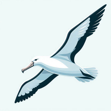 Sketch of a flying seagull. Vector illustration.のイラスト素材