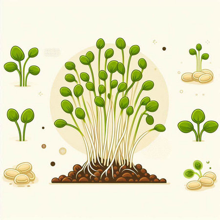 Illustration of green seedling on white background, vector illustration.のイラスト素材