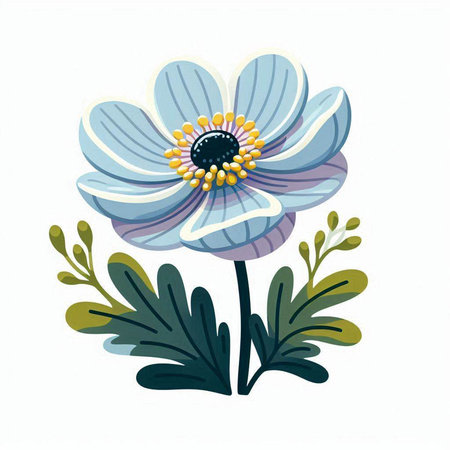 Vector illustration with blue anemone flower isolated on white background.のイラスト素材