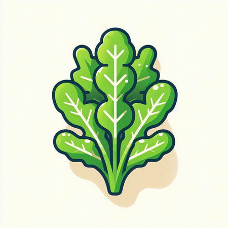 Leaves of chard on a white background. Vector illustration.のイラスト素材