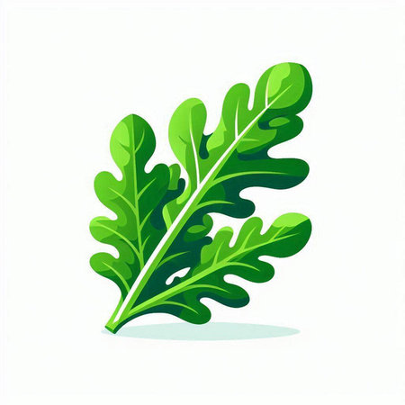 Green arugula leaves isolated on white background. Vector illustration.のイラスト素材