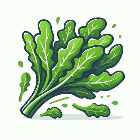 Spinach. Vector illustration. Isolated on white background.のイラスト素材
