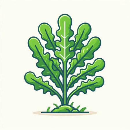 Arugula or arugula plant. Vector illustration in flat styleのイラスト素材