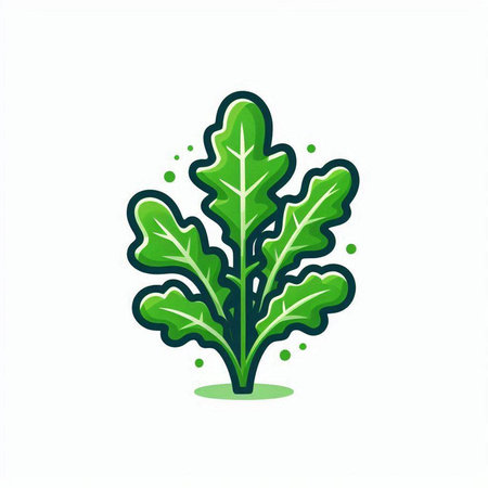 Fresh arugula vector icon, healthy food illustration, vegetarian symbolのイラスト素材