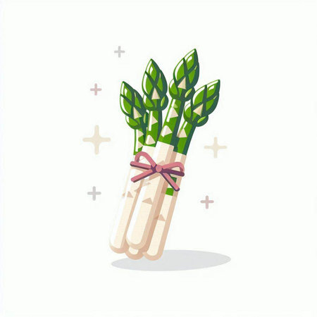 Bunch of green asparagus with ribbon. Vector illustration.のイラスト素材
