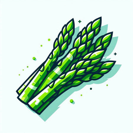 Fresh green asparagus. Vector illustration on white background for your designのイラスト素材