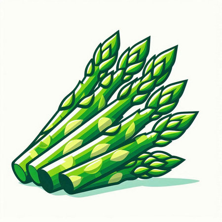 Illustration of fresh green asparagus on white background - vectorのイラスト素材