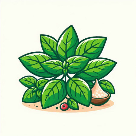 Illustration of a green basil plant on a white background - vectorのイラスト素材