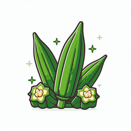 Illustration of fresh okra on white background, vector illustration.のイラスト素材