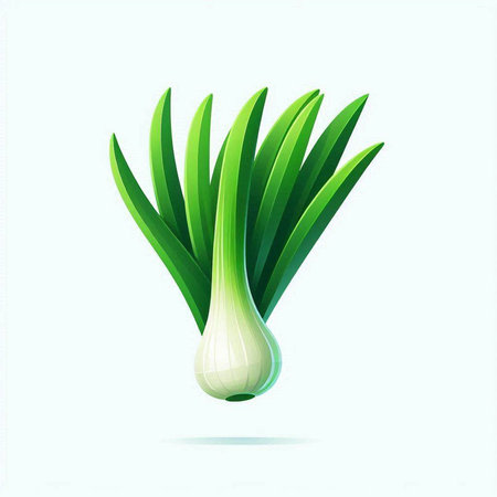 Green onion vector illustration isolated on white background. Vector illustration of fresh vegetable.のイラスト素材