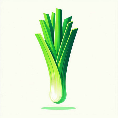 Fresh green leek on white background. Vector illustration for your designのイラスト素材