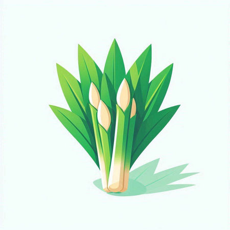 Illustration of a bunch of bamboo shoots with leaves on a white backgroundのイラスト素材