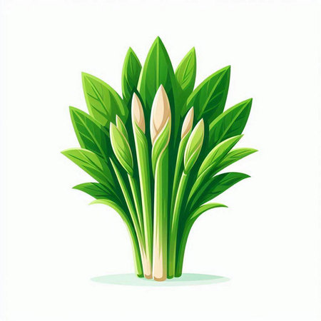 Illustration of green leaves on a white background. Vector illustration.のイラスト素材