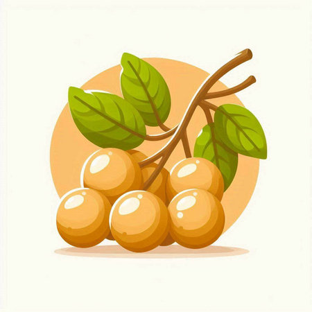 Coffee beans on a branch with leaves. Vector illustration.のイラスト素材