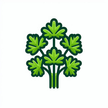 Parsley icon. Isolated on white background. Vector illustration.のイラスト素材
