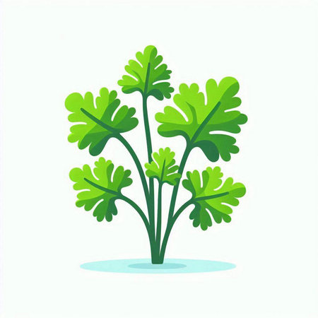 Parsley isolated on white background. Vector illustration in cartoon style.のイラスト素材