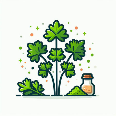 Parsley icon. Vector illustration of parsley plant. Parsley leaves.のイラスト素材