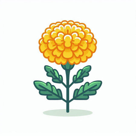 Marigold flower isolated on white background. Flat vector illustration.のイラスト素材