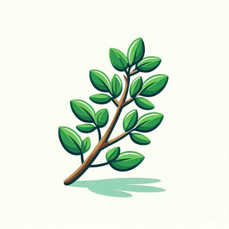 Illustration of a twig with green leaves on a white backgroundのイラスト素材
