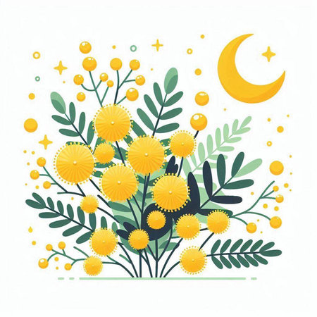 Flower composition with mimosa, moon and stars. Vector illustration.のイラスト素材