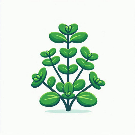 Moringa plant icon. Vector illustration isolated on white background.のイラスト素材