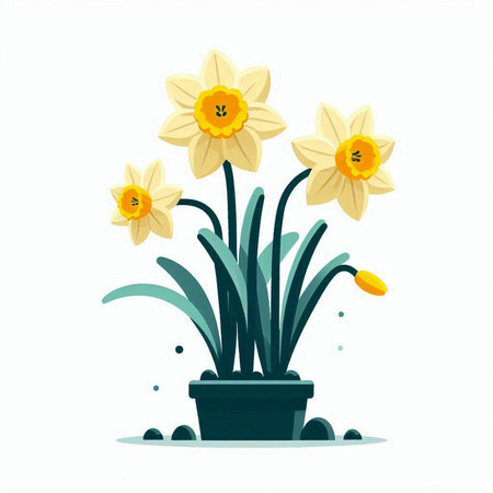 Narcissus flower in pot isolated on white background. Flat style vector illustration.のイラスト素材