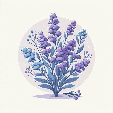 Lavender flowers on a white background. Vector illustration in retro style.のイラスト素材