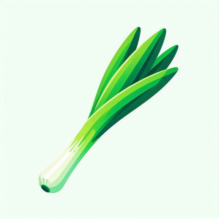 Green onion isolated on white background. Vector illustration. Eps 10.のイラスト素材